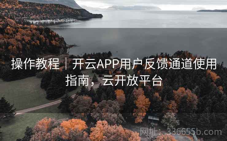 操作教程｜开云APP用户反馈通道使用指南，云开放平台
