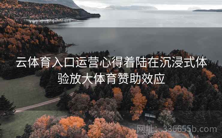 云体育入口运营心得着陆在沉浸式体验放大体育赞助效应
