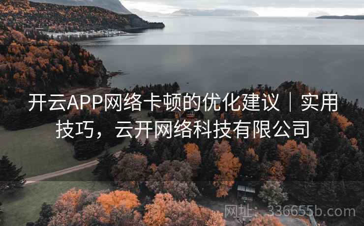 开云APP网络卡顿的优化建议｜实用技巧，云开网络科技有限公司