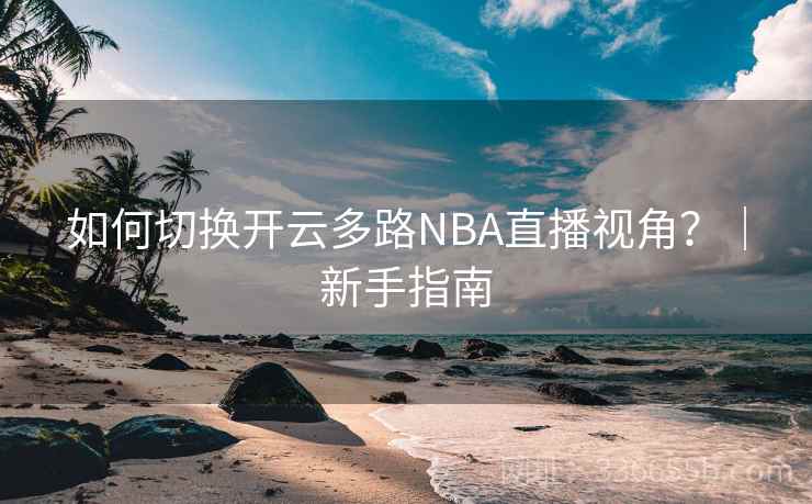 如何切换开云多路NBA直播视角?|新手指南 如何切换开云多路NBA直播视角?|新手指南
