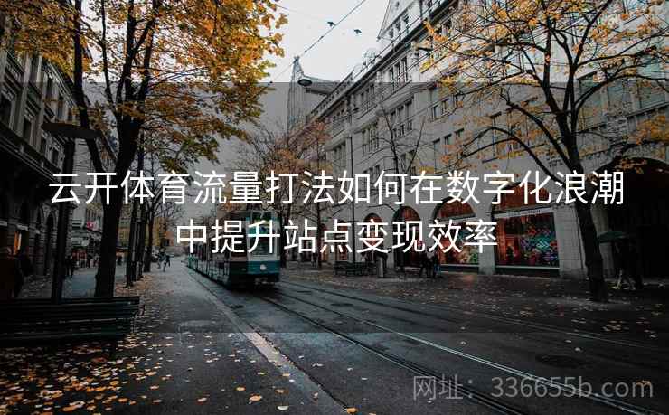 云开体育流量打法如何在数字化浪潮中提升站点变现效率 云开体育流量打法如何在数字化浪潮中提升站点变现效率