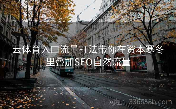云体育入口流量打法带你在资本寒冬里叠加SEO自然流量